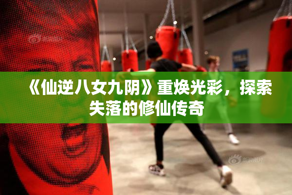《仙逆八女九阴》重焕光彩，探索失落的修仙传奇