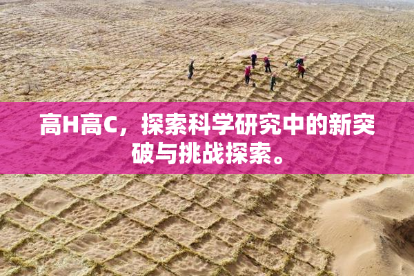 高H高C，探索科学研究中的新突破与挑战探索。