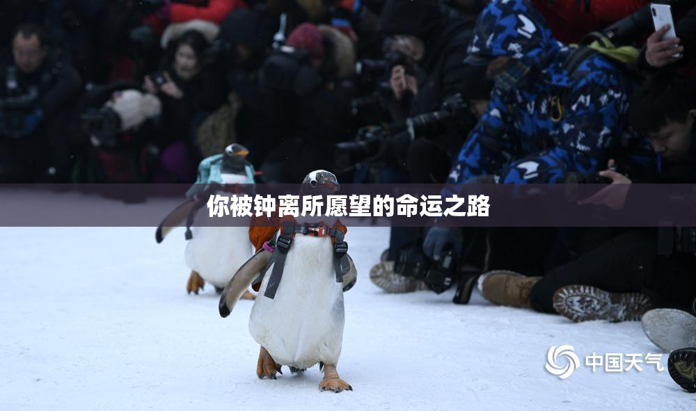 你被钟离所愿望的命运之路