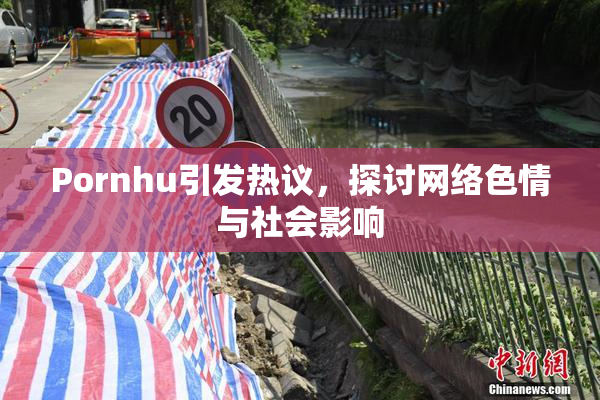 Pornhu引发热议，探讨网络色情与社会影响