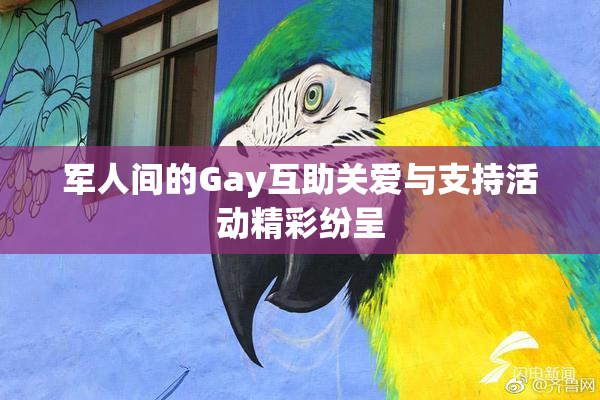 军人间的Gay互助关爱与支持活动精彩纷呈
