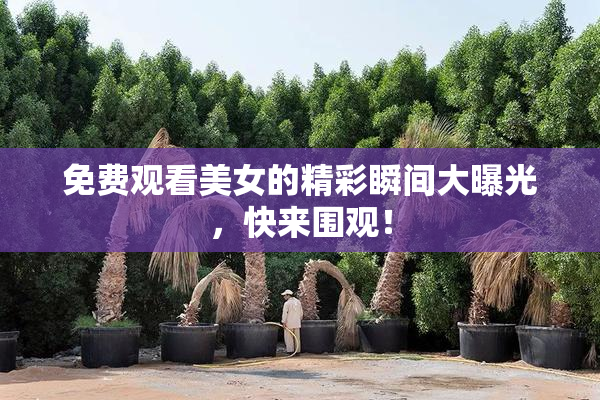 免费观看美女的精彩瞬间大曝光，快来围观！