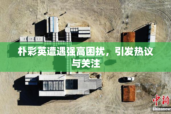 朴彩英遭遇强高困扰，引发热议与关注
