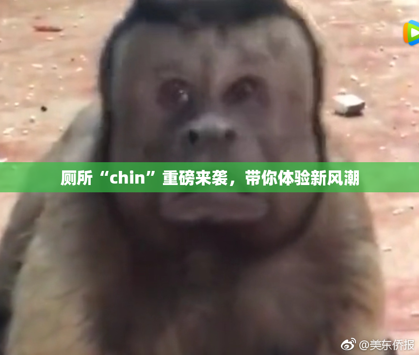 厕所“chin”重磅来袭，带你体验新风潮
