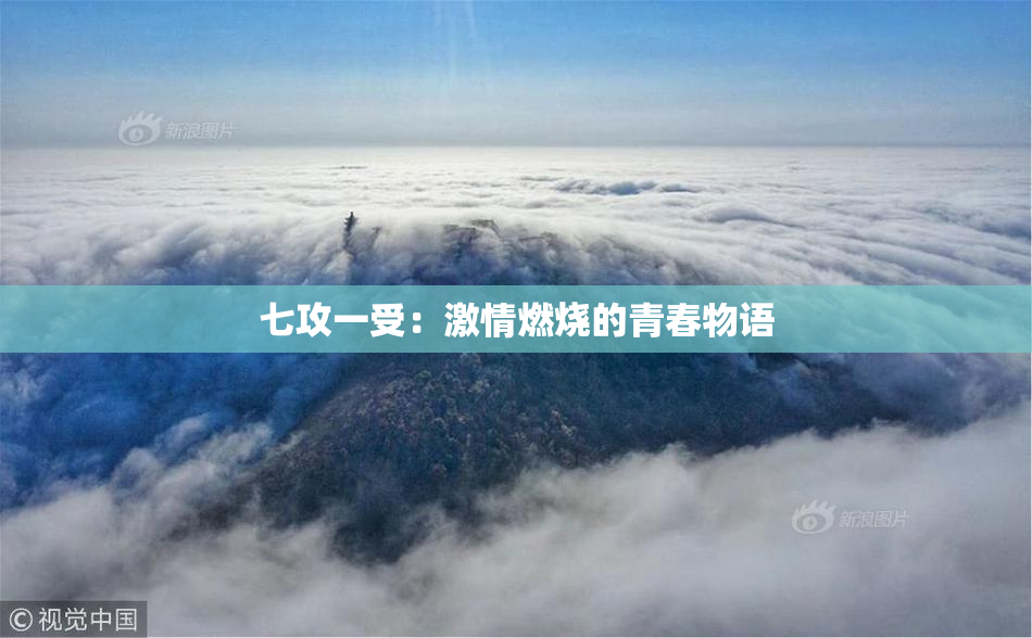 七攻一受：激情燃烧的青春物语