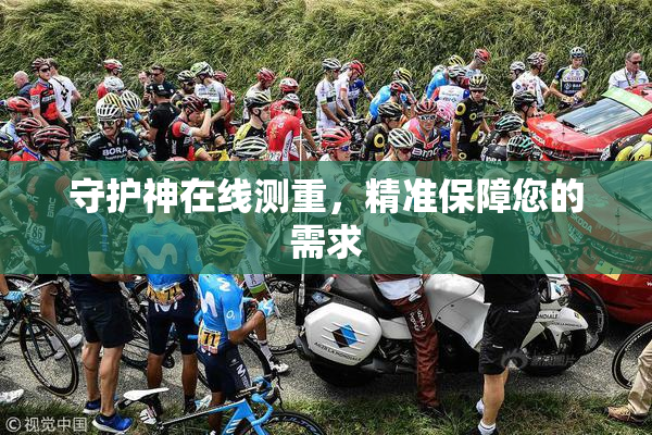 守护神在线测重，精准保障您的需求