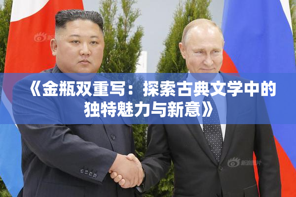 《金瓶双重写：探索古典文学中的独特魅力与新意》