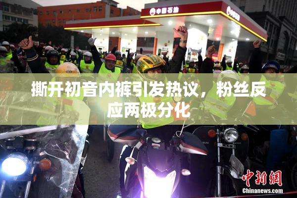 撕开初音内裤引发热议，粉丝反应两极分化
