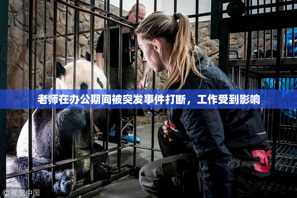 老师在办公期间被突发事件打断，工作受到影响