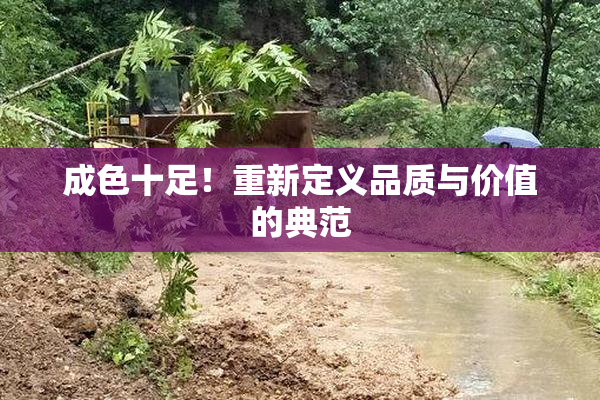 成色十足！重新定义品质与价值的典范