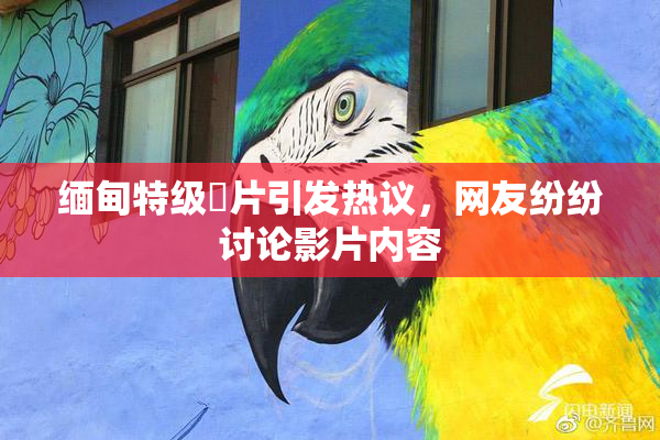 缅甸特级婬片引发热议，网友纷纷讨论影片内容