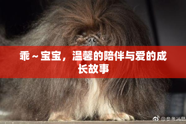 乖～宝宝，温馨的陪伴与爱的成长故事