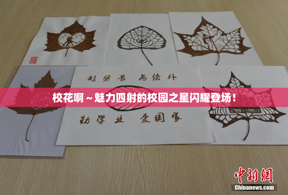 校花啊～魅力四射的校园之星闪耀登场！