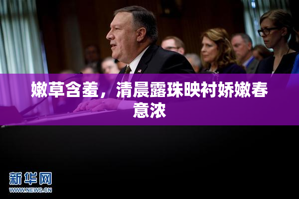 嫩草含羞，清晨露珠映衬娇嫩春意浓