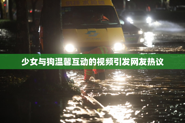 少女与狗温馨互动的视频引发网友热议