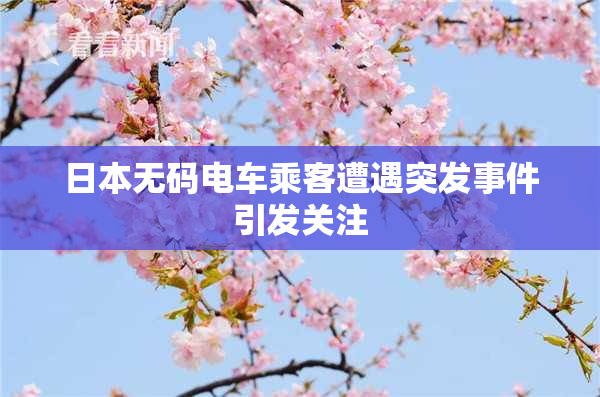 日本无码电车乘客遭遇突发事件引发关注