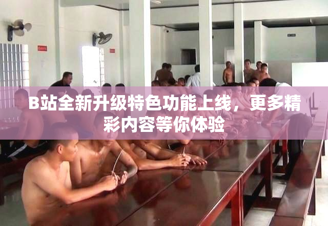 B站全新升级特色功能上线，更多精彩内容等你体验