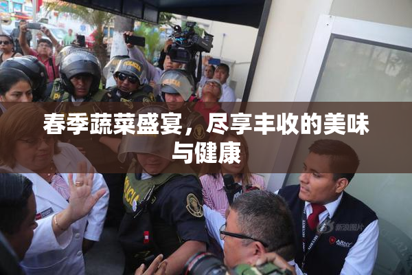 春季蔬菜盛宴，尽享丰收的美味与健康