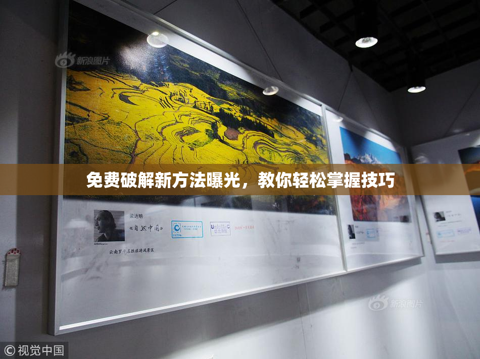 免费破解新方法曝光，教你轻松掌握技巧