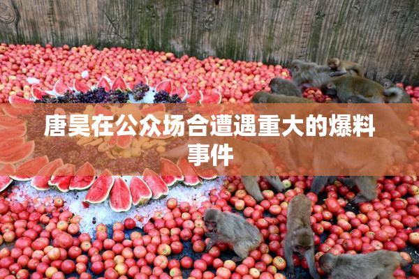 唐昊在公众场合遭遇重大的爆料事件