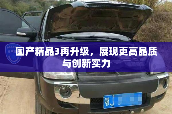 国产精品3再升级，展现更高品质与创新实力