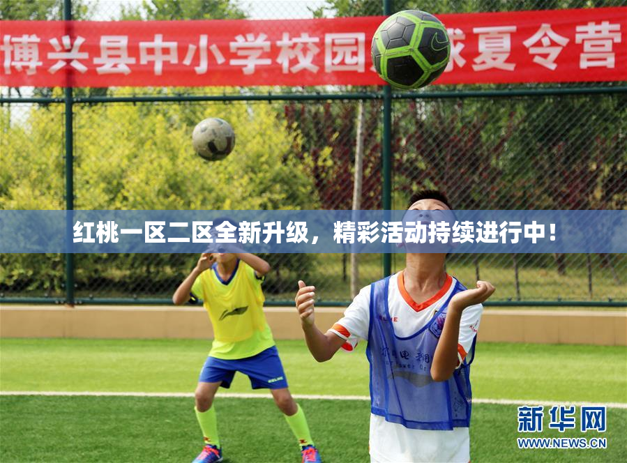 红桃一区二区全新升级，精彩活动持续进行中！