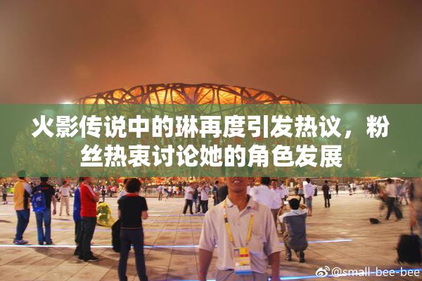 火影传说中的琳再度引发热议，粉丝热衷讨论她的角色发展
