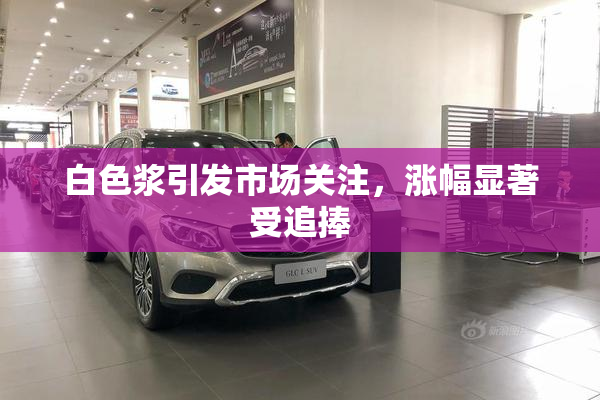 白色浆引发市场关注，涨幅显著受追捧