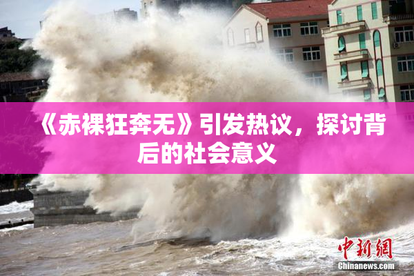 《赤裸狂奔无》引发热议，探讨背后的社会意义