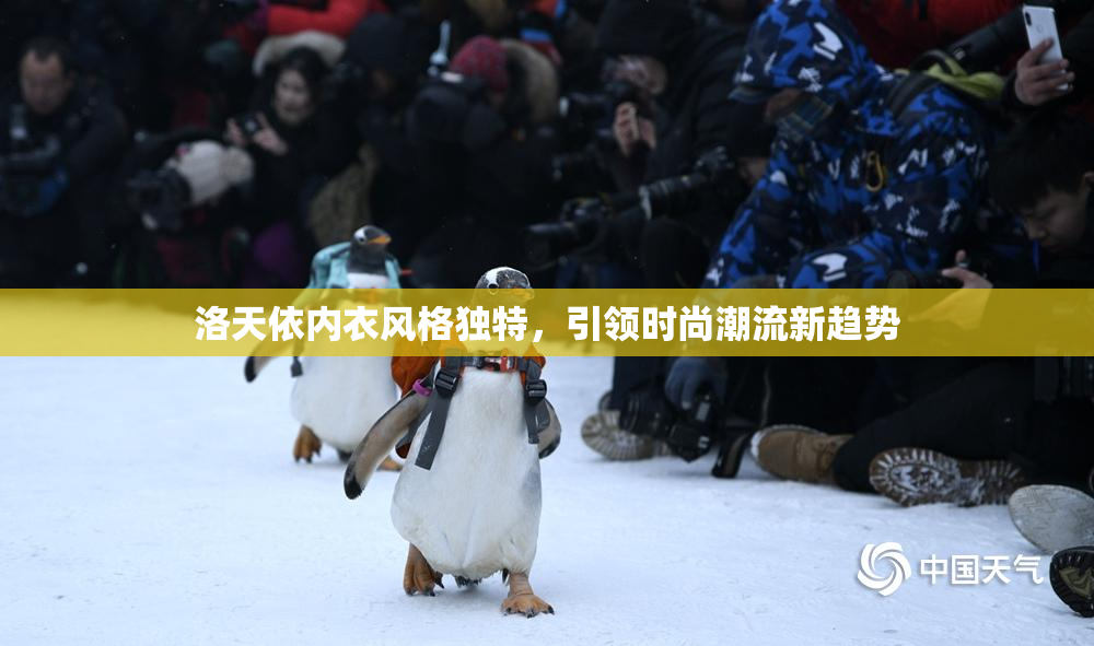 洛天依内衣风格独特，引领时尚潮流新趋势