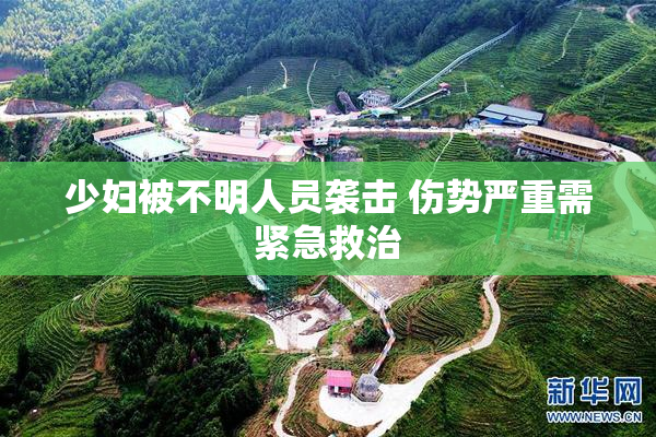 少妇被不明人员袭击 伤势严重需紧急救治