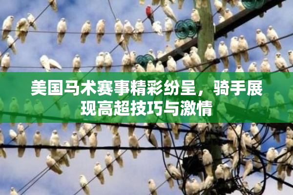 美国马术赛事精彩纷呈，骑手展现高超技巧与激情