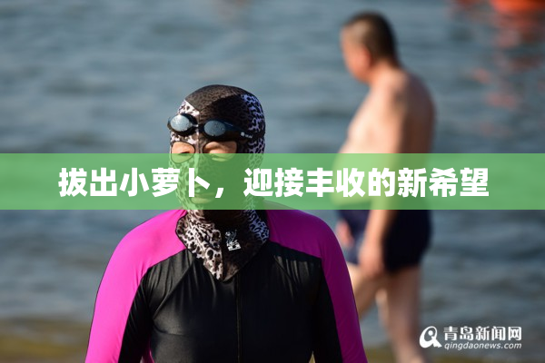 拔出小萝卜，迎接丰收的新希望