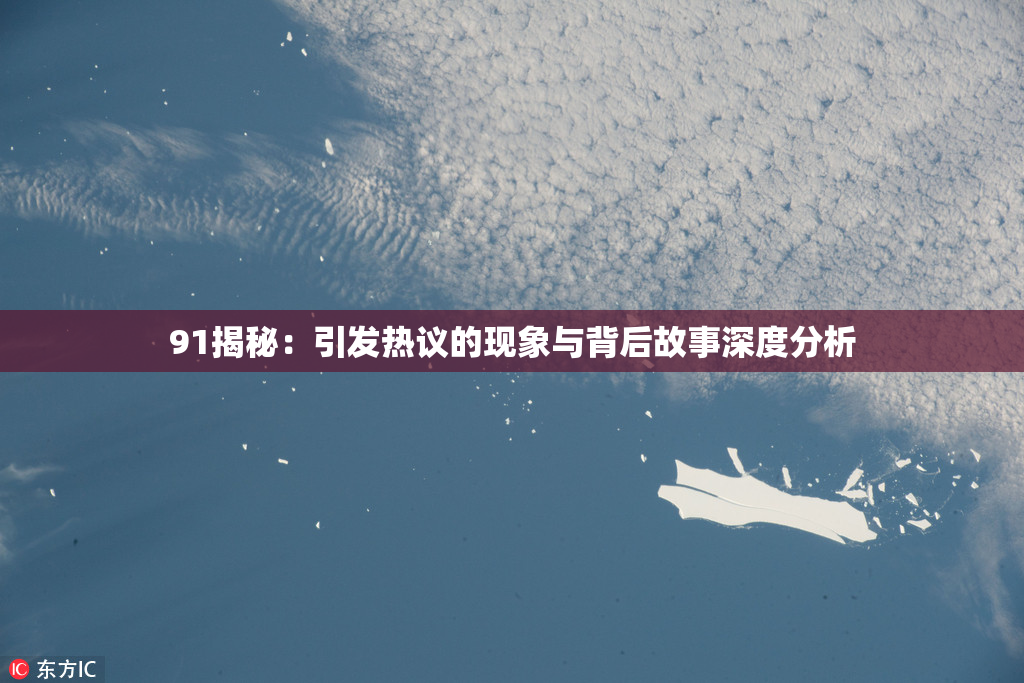 91揭秘：引发热议的现象与背后故事深度分析