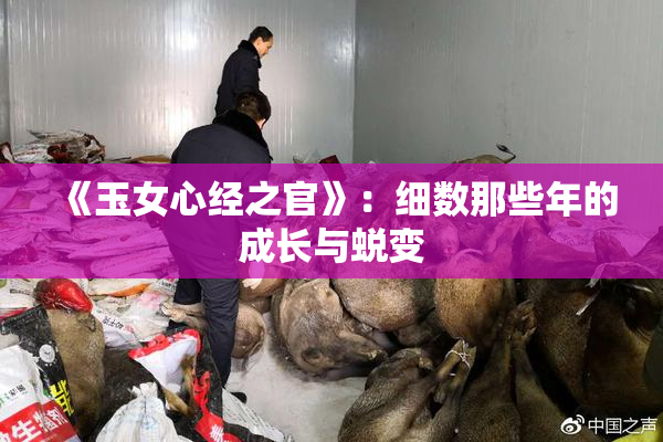 《玉女心经之官》：细数那些年的成长与蜕变