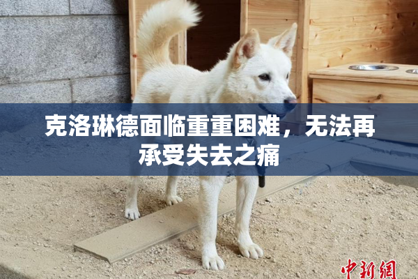 克洛琳德面临重重困难，无法再承受失去之痛