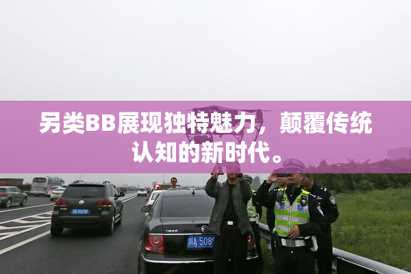 另类BB展现独特魅力，颠覆传统认知的新时代。