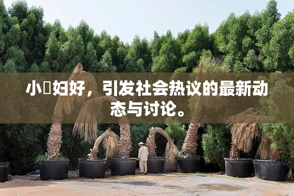 小婬妇好，引发社会热议的最新动态与讨论。