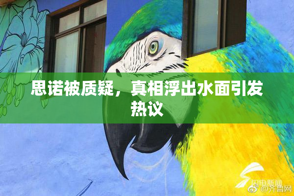 思诺被质疑，真相浮出水面引发热议