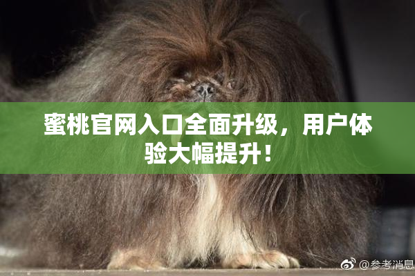 蜜桃官网入口全面升级，用户体验大幅提升！