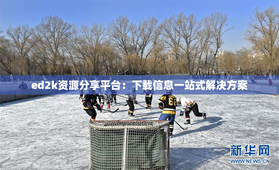 ed2k资源分享平台：下载信息一站式解决方案