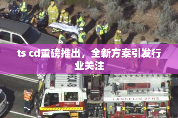 ts cd重磅推出，全新方案引发行业关注