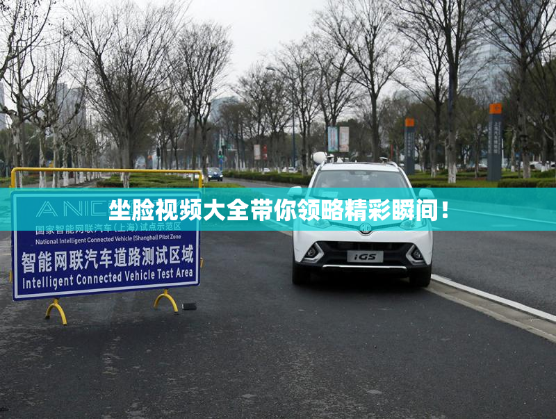 坐脸视频大全带你领略精彩瞬间！
