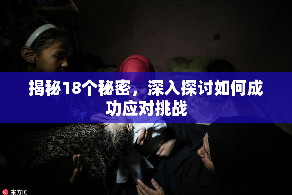 揭秘18个秘密，深入探讨如何成功应对挑战