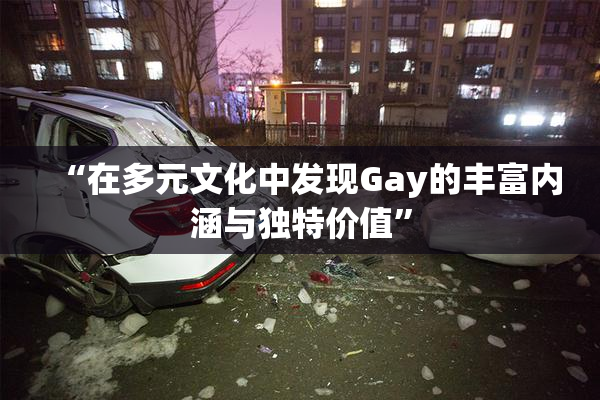 “在多元文化中发现Gay的丰富内涵与独特价值”