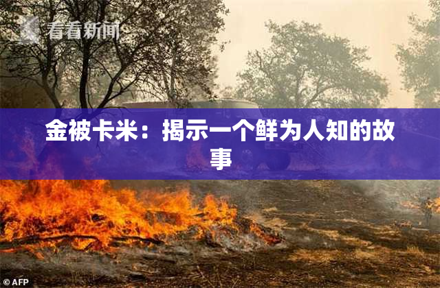 金被卡米：揭示一个鲜为人知的故事