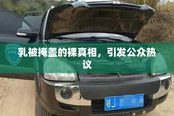 乳被掩盖的裸真相，引发公众热议