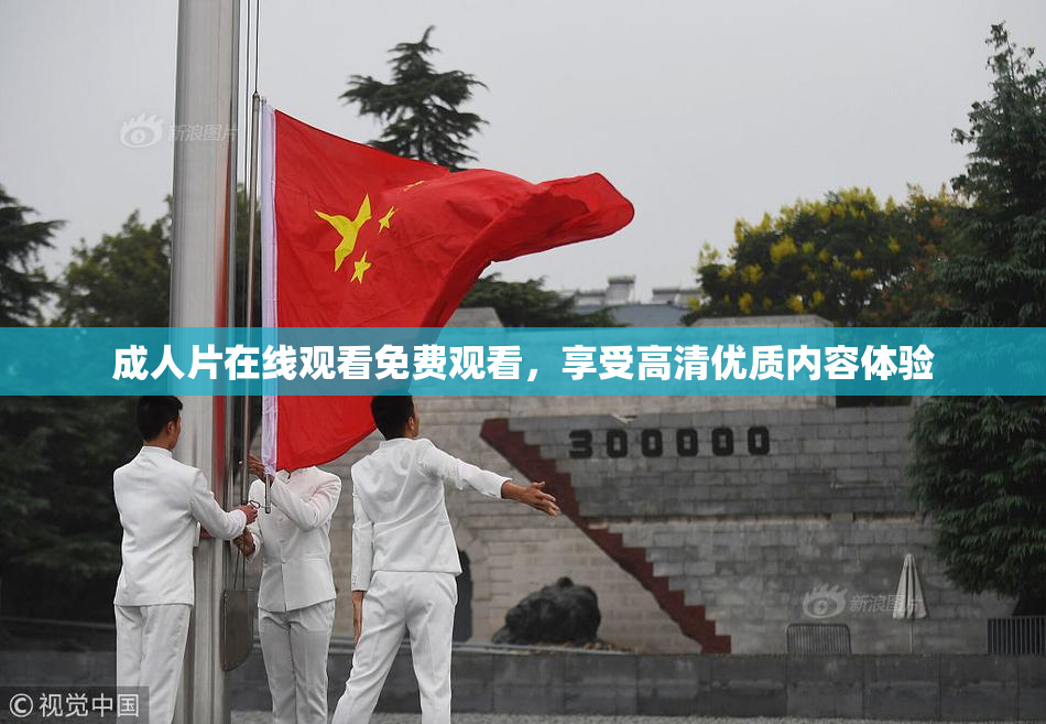 成人片在线观看免费观看，享受高清优质内容体验