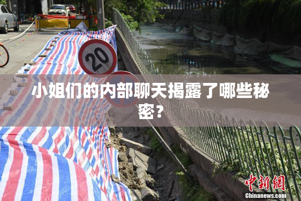 小姐们的内部聊天揭露了哪些秘密？