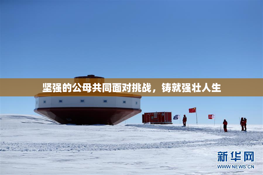 坚强的公母共同面对挑战，铸就强壮人生